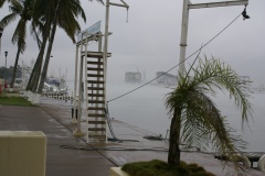 SONY DSC