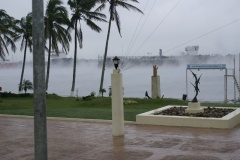 SONY DSC