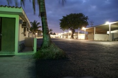 SONY DSC