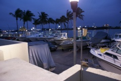 SONY DSC