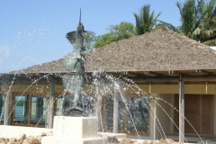 SONY DSC