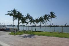 SONY DSC