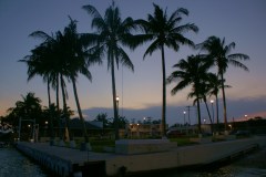 SONY DSC