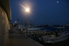 SONY DSC